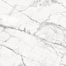 Invisible White